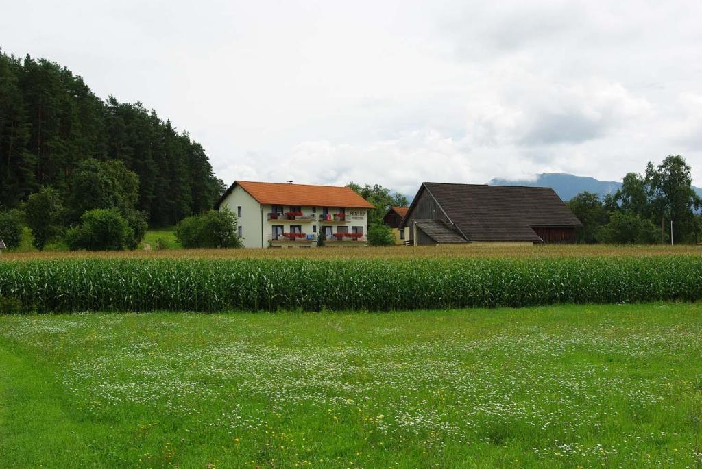 Pension Hribernig Sankt Primus Экстерьер фото